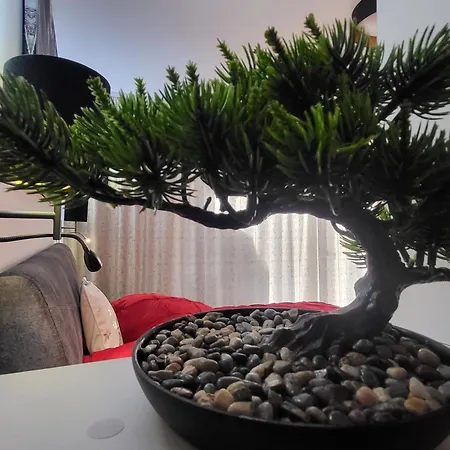 Apartament Alexandra *